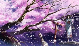 樱花动漫在线观看